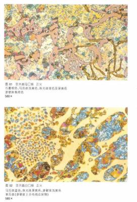 金属材料金相图谱大全与应用解析及手册资料下载